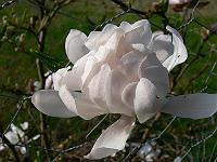 2011-04-22_08-17-10_0085