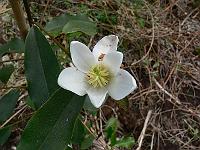 2011-05-10_12-52-07_0064