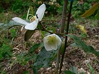 2011-05-14_11-15-38_0051