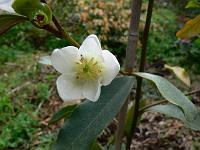 2011-05-15_09-03-06_0084