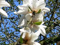 14-04-2007_18-04-52_28