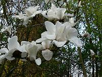 2011-04-19_17-27-07_0168