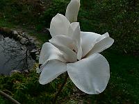 2011-04-19_17-28-00_0175