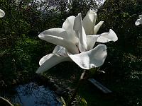 2011-04-20_15-11-27_0184