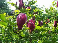 27-05-05kodak_131