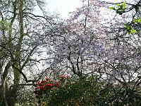 14-04-2007_18-05-21_36