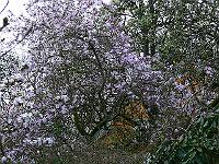 17-04-2007_13-38-56_46