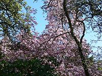 2009-04-24_08-56-21_0094