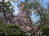 2009-04-26_16-37-03_0335