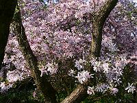 2009-04-26_16-37-28_0341