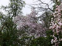 2009-04-27_08-00-58_0037