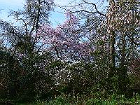 2010-05-02_07-42-19_0080