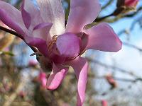 22-04-05kodak_093