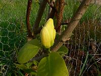 2011-04-28_07-33-53_0085