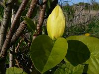2011-04-29_17-13-36_0104