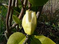 2011-05-01_16-15-11_0103