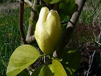 2011-05-02_13-38-22_0022