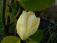 2011-05-03_16-39-53_0010