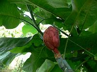 2009-10-08_09-56-19_0078