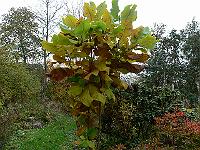 2009-11-01_14-20-43_0018
