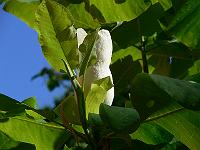 2011-06-10_16-54-02_0091