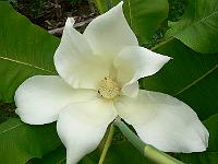 2011-07-01_15-50-49_0042