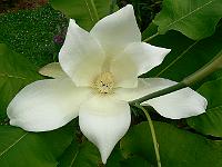 2011-07-01_18-05-34_0112