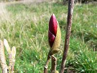 2009-04-12_10-25-25_0006