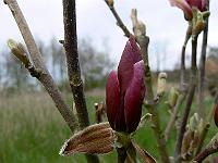 2009-04-22_17-39-35_0105