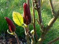 2009-04-24_06-47-29_0051