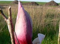 2009-04-24_06-47-43_0052