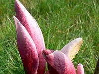 2009-04-26_16-25-48_0268
