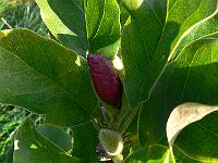 2011-10-23_09-31-58_0001