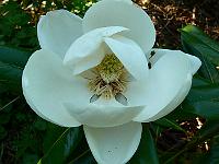10-06-2007_08-26-38_09