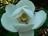 10-06-2007_08-27-40_24