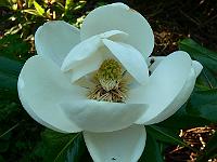 10-06-2007_08-27-53_27