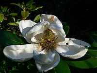 10-06-2007_20-15-09_10