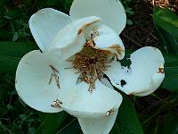 11-06-2007_18-33-59_06