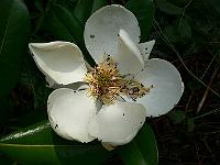 21-06-2007_10-58-19_35