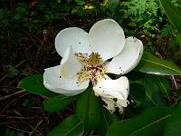 21-06-2007_10-58-52_43