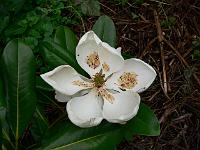 21-06-2007_20-46-38_22