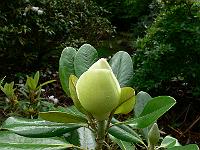 30-05-2007_10-57-26_01