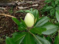 30-05-2007_10-57-54_09