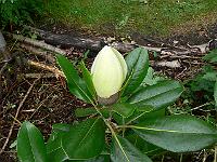 30-05-2007_10-58-05_12