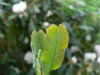 18-05-2006_14-47-23_221