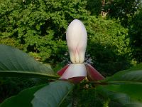 01-06-2007_08-09-13_17