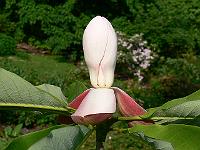 01-06-2007_09-44-32_39