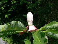 01-06-2007_14-15-31_16