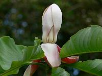 01-06-2007_17-07-08_52