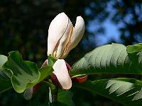 01-06-2007_17-09-58_97
